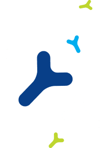 Y Molecules 2